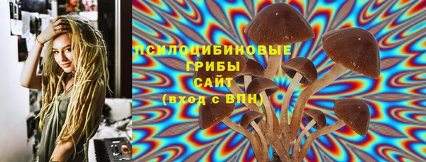 шишки Медногорск