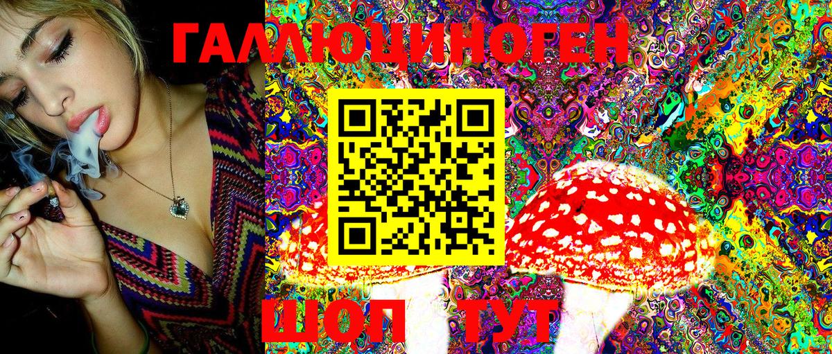 Галлюциногенные грибы Psilocybine cubensis  Кашира 